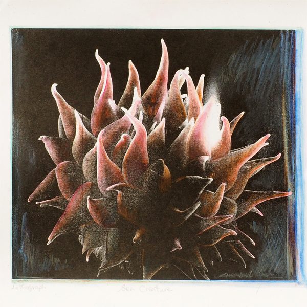 Angie Shanahan - Sea Creature