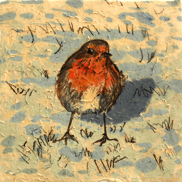 Annabel Langrish - Robin