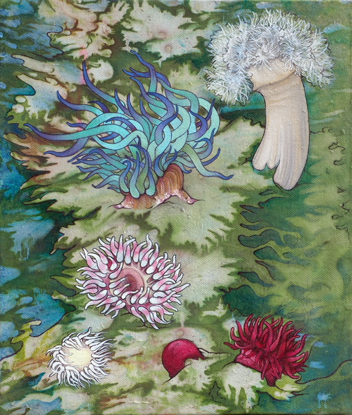 Emily Shakespeare - Sea Anemones of Ireland