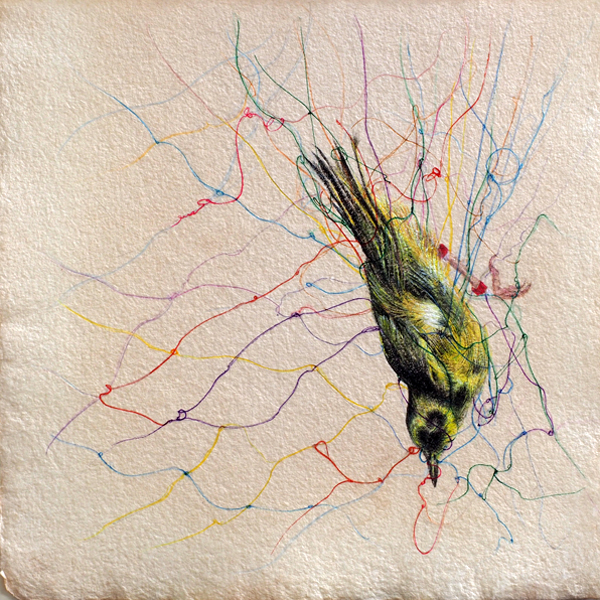 Ida Mitrani - Song Bird Spectrum