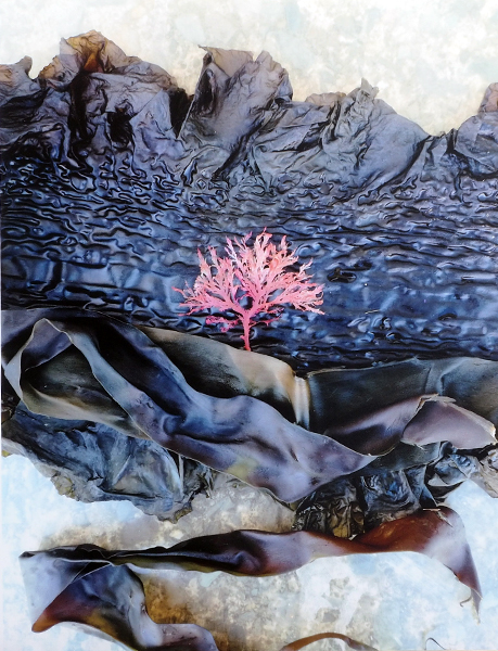 Katherine Aldrich - Sea Tree I