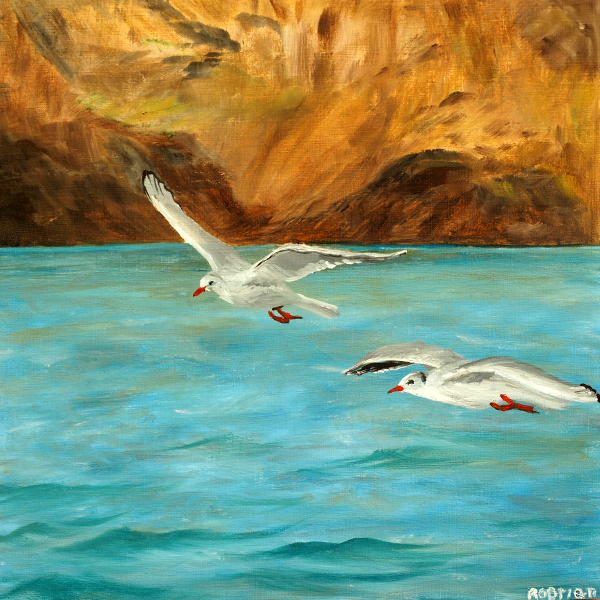 Rita O'Brien - Gliding into Bantry Bay