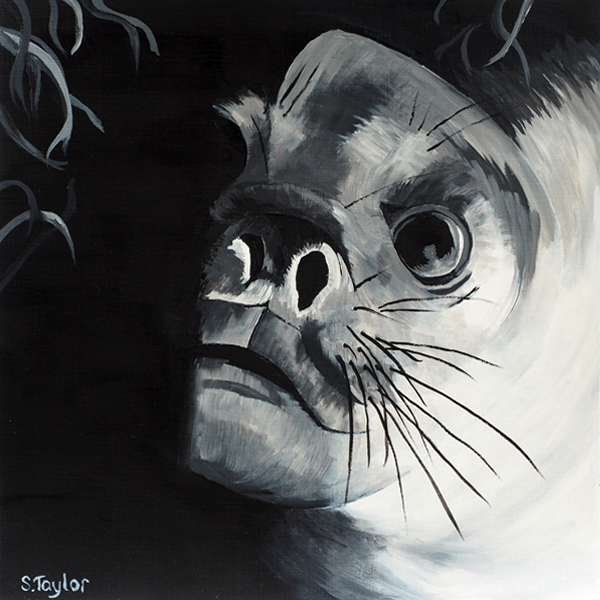 Sonia Taylor - Seal